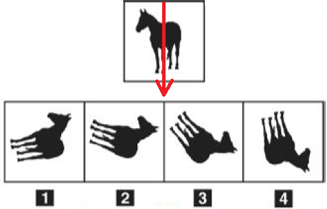 es 6 2 test medicina san raffaele 2018